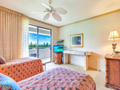 Kapalua Condo 896358